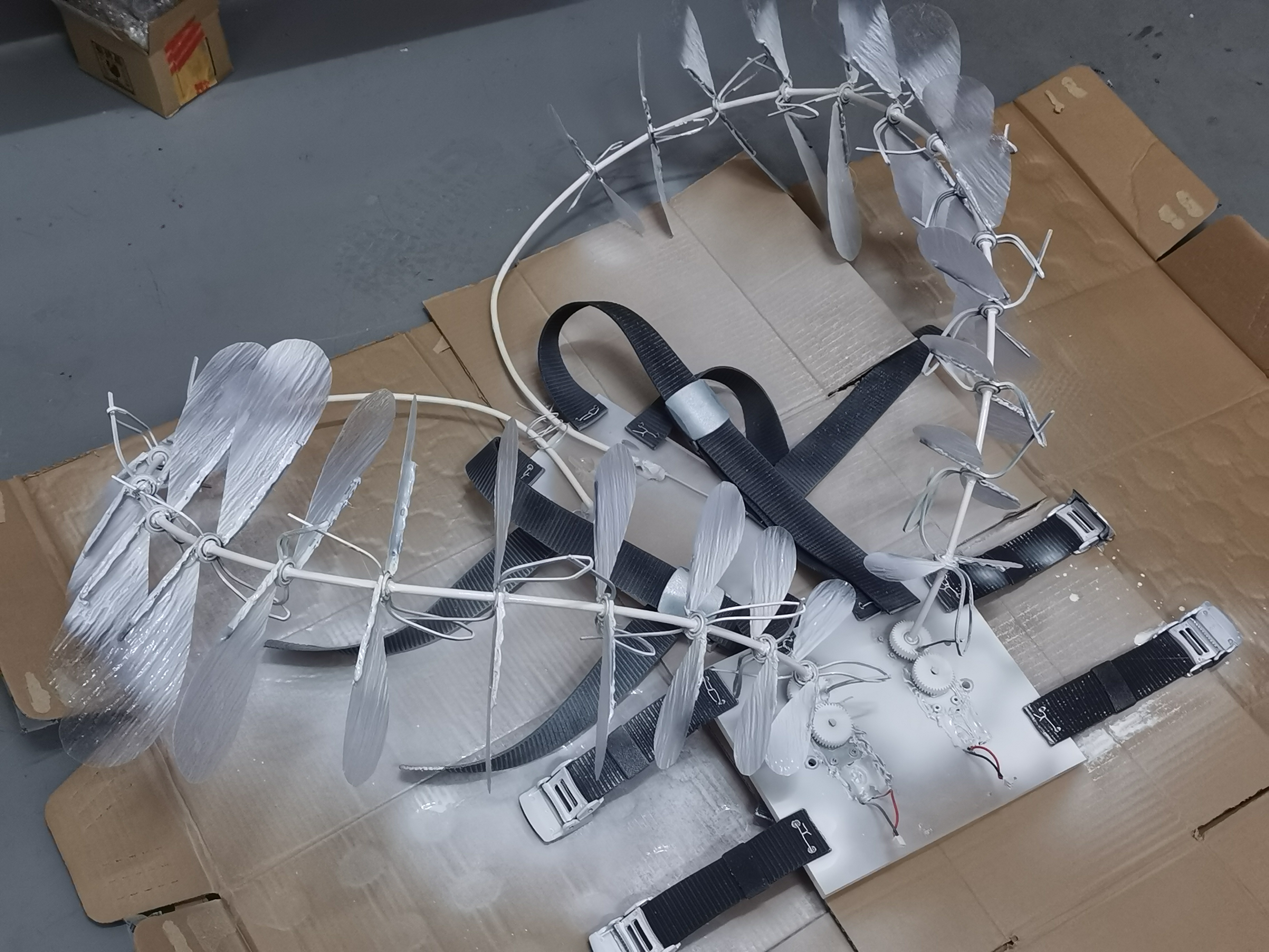 The Movement Within, process 2